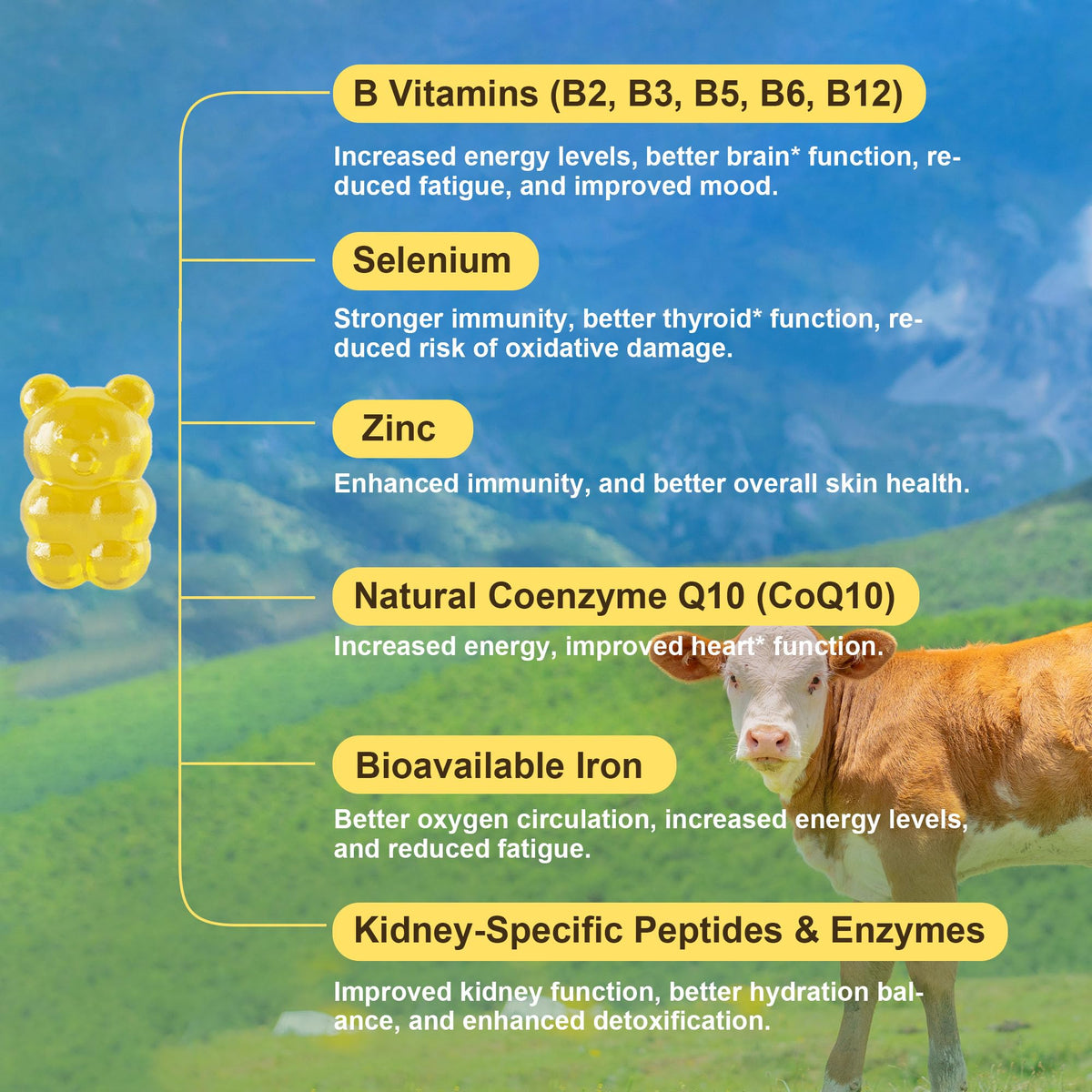 Grass Fed Beef Kidney Ingredients